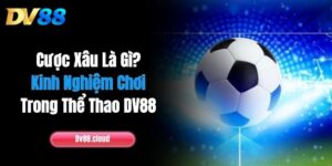 Cược Xâu Là Gì? Kinh Nghiệm Chơi Trong Thể Thao DV88