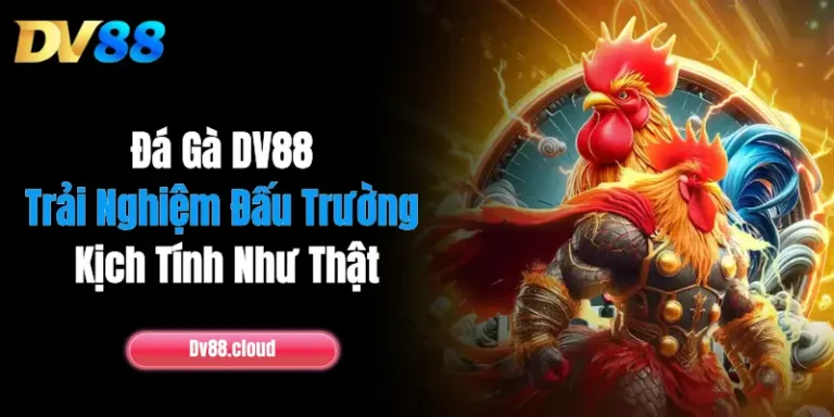 Đá Gà DV88: Trải Nghiệm Đấu Trường Kịch Tính Như Thật 1 Đá Gà DV88: Trải Nghiệm Đấu Trường Kịch Tính Như Thật