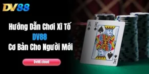 Hướng Dẫn Chơi Xì Tố DV88 Cơ Bản Cho Người Mới